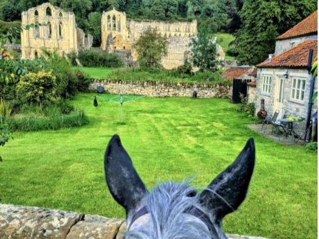 North Yorkshire National Park